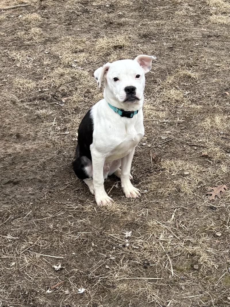 Sparrow And Rainbow Sparkle thumbnail 4