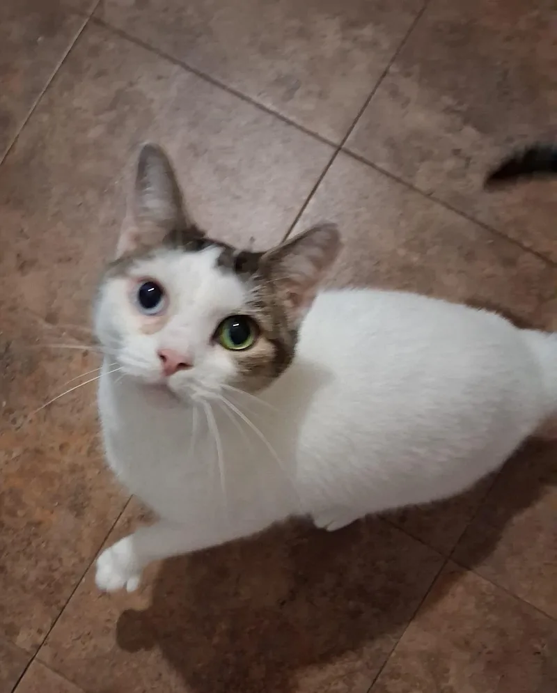 Dolly Mae