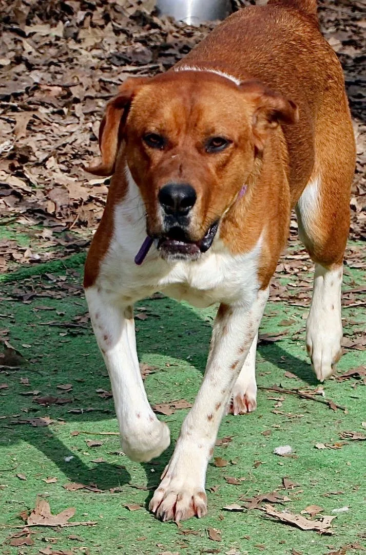 Duke Of Earl thumbnail 3