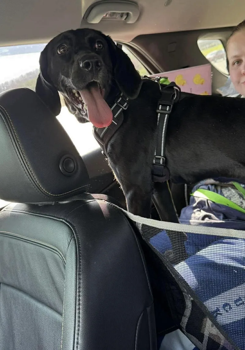 Mary Jane thumbnail 2