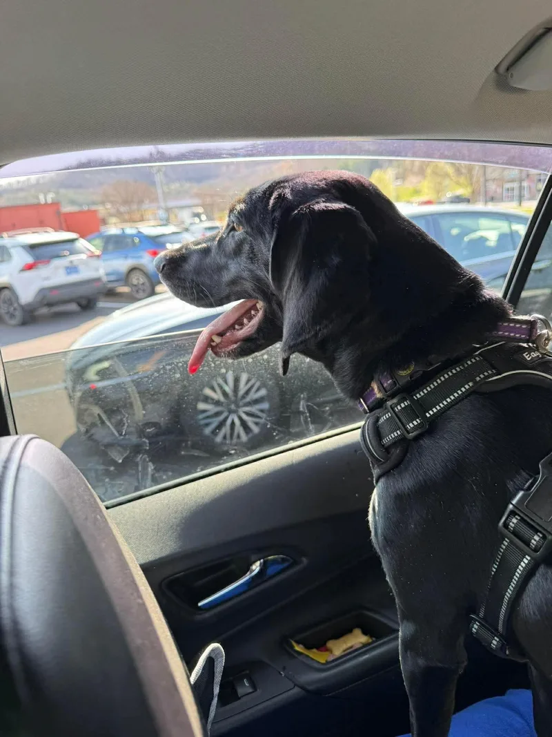 Mary Jane thumbnail 3