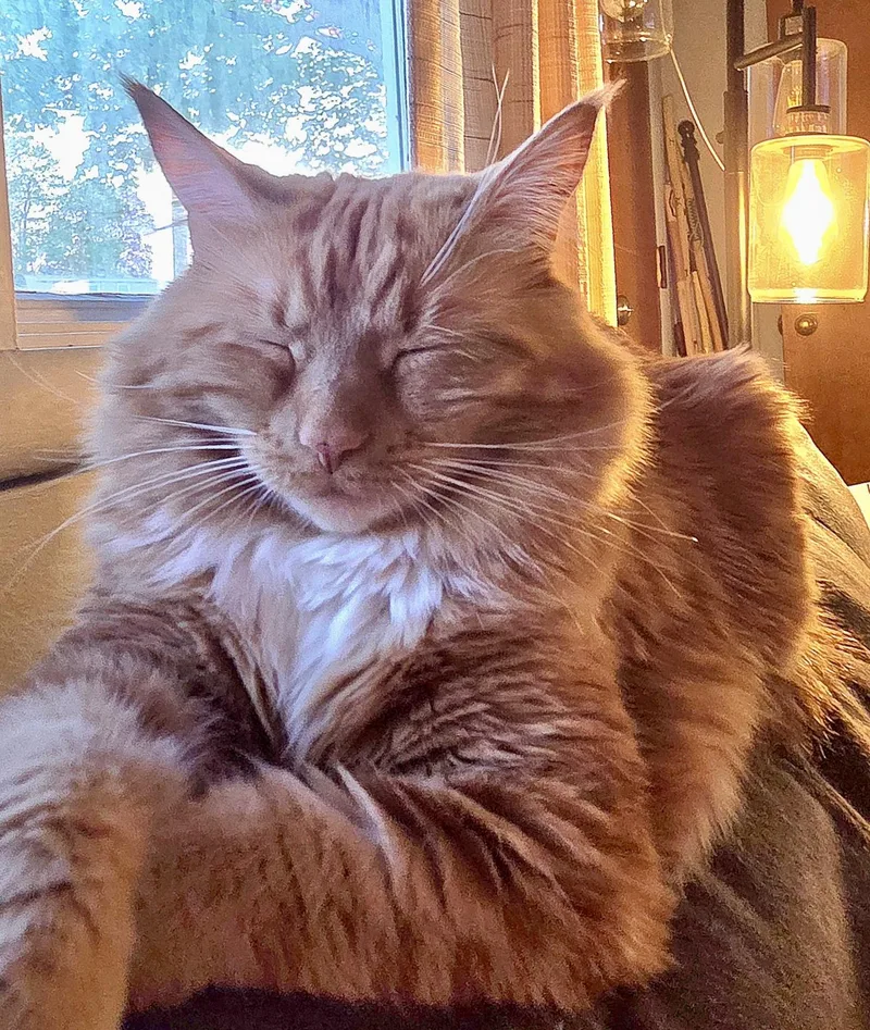 Winnie