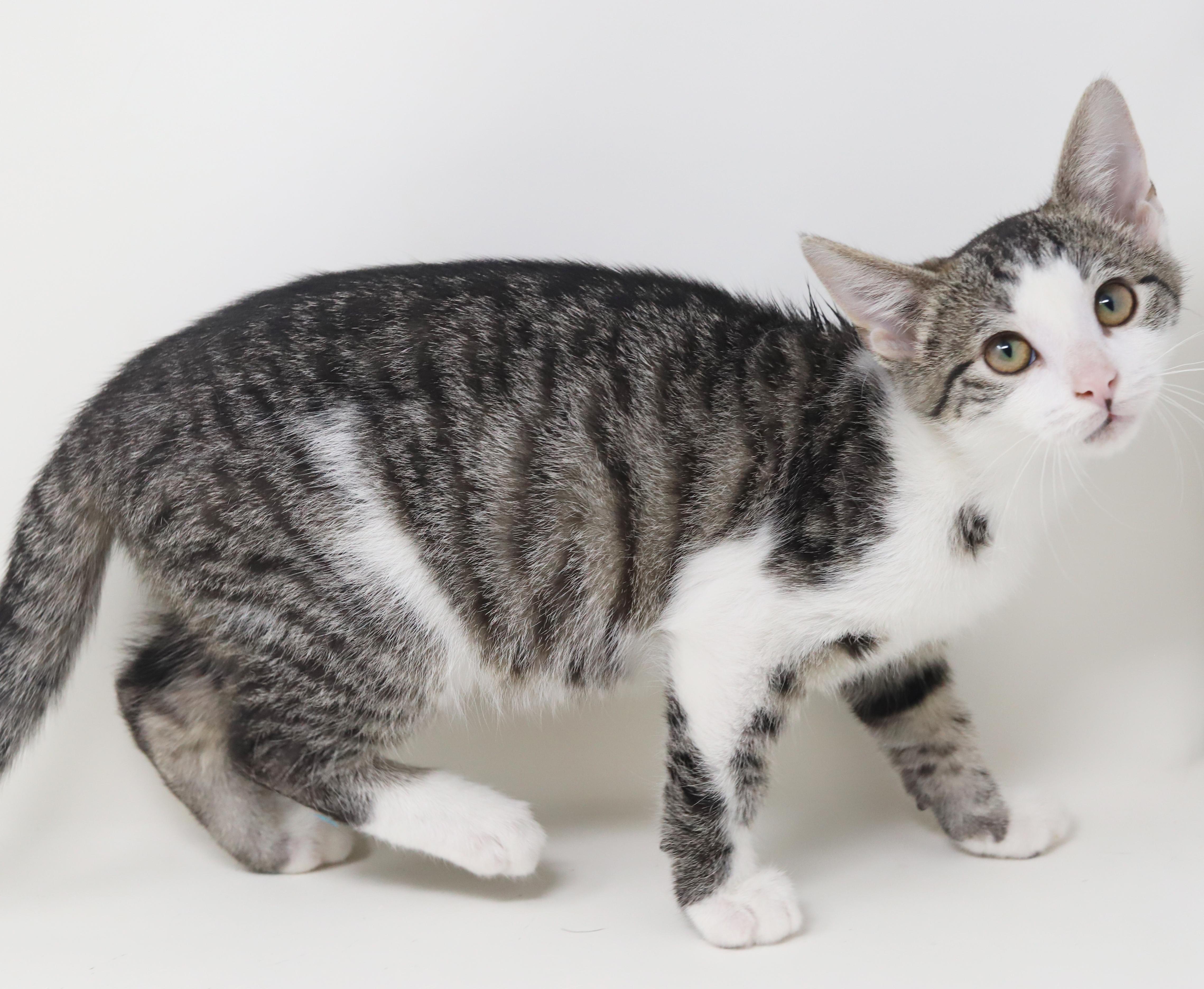 Ron Weasley! Wonderful Wonderful thumbnail 2