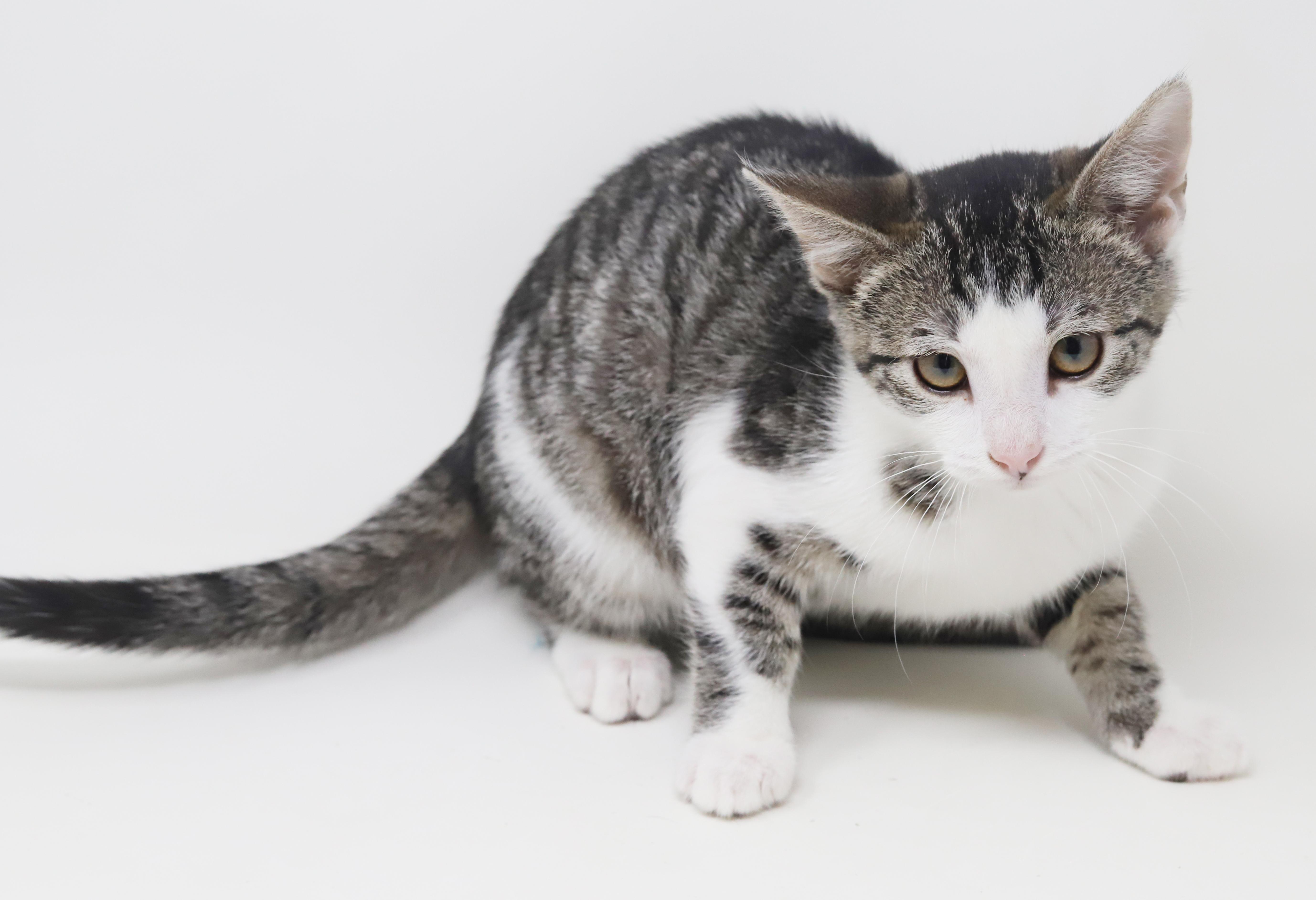 Ron Weasley! Wonderful Wonderful thumbnail 3