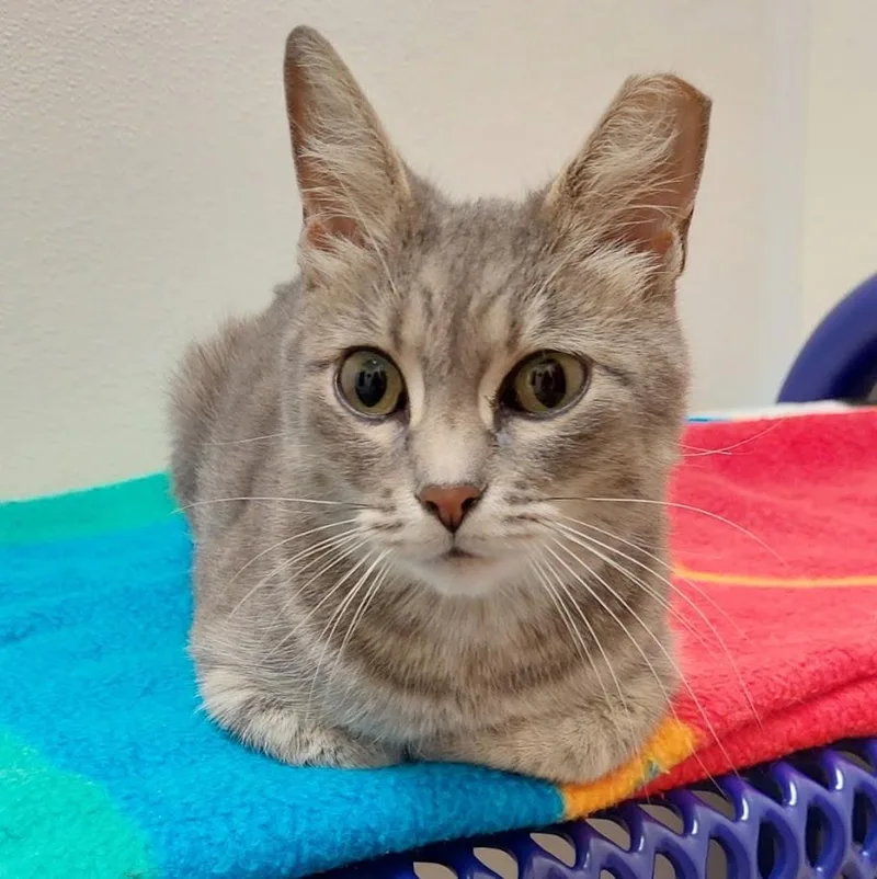 Precious