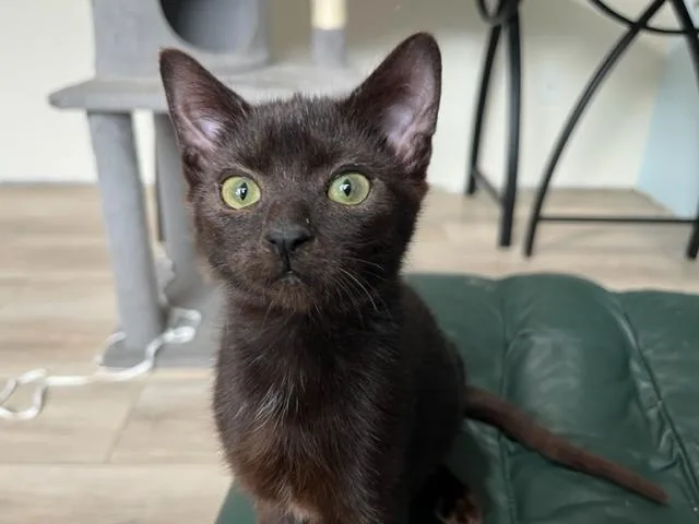 Binx My Baby Boy thumbnail 3
