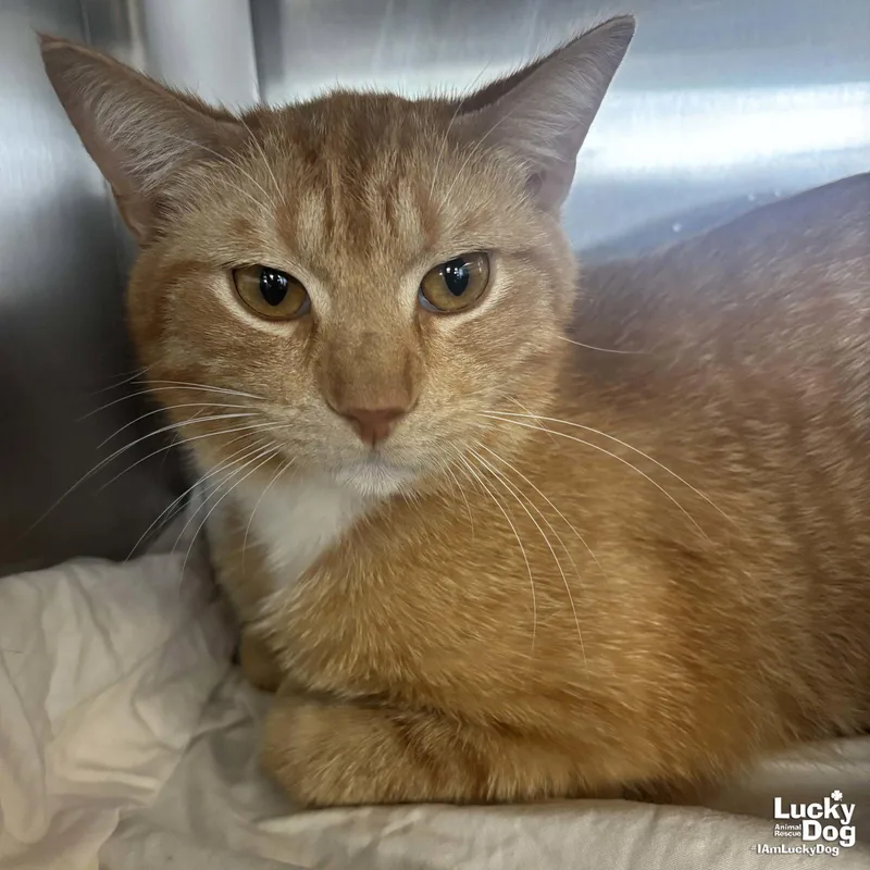 Nebraska thumbnail 2