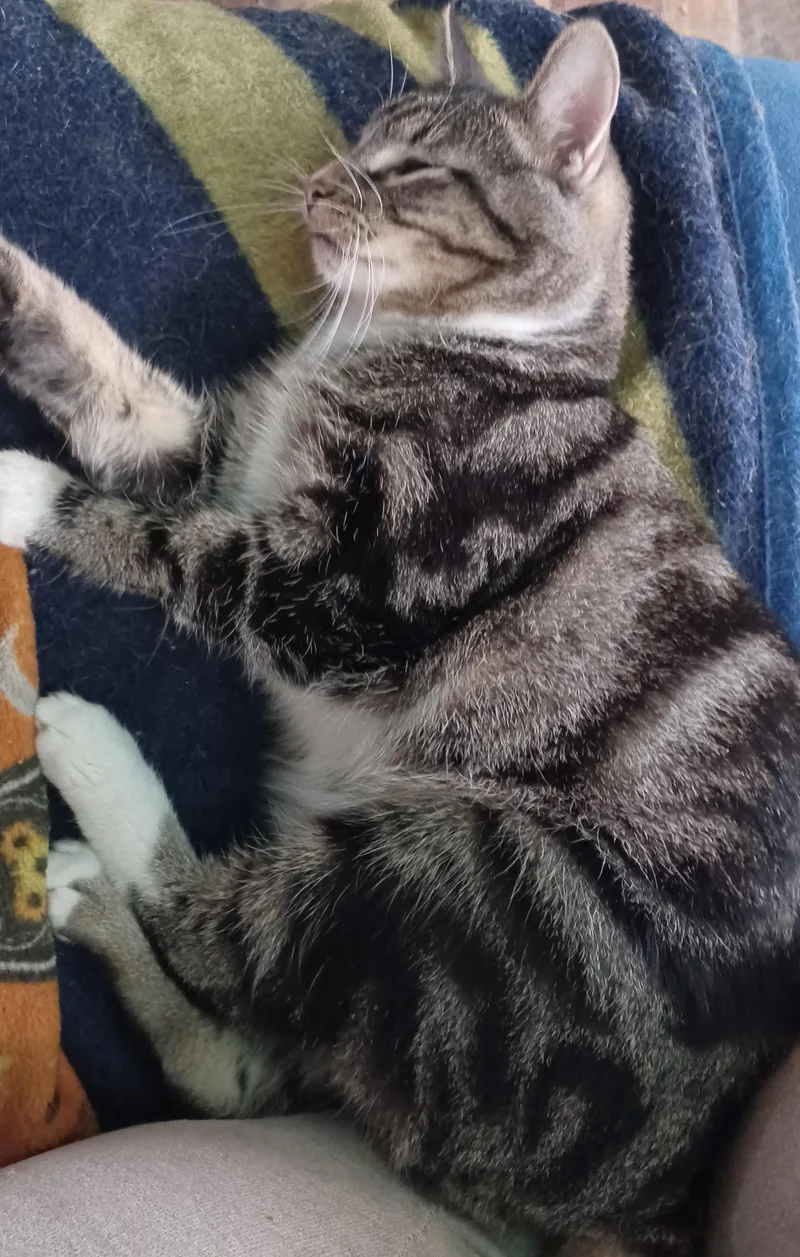 Moonstone thumbnail 2