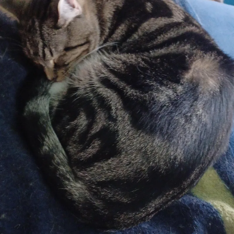 Moonstone thumbnail 4