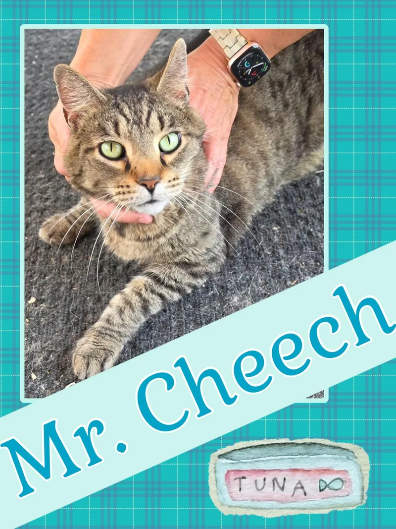 Cheech