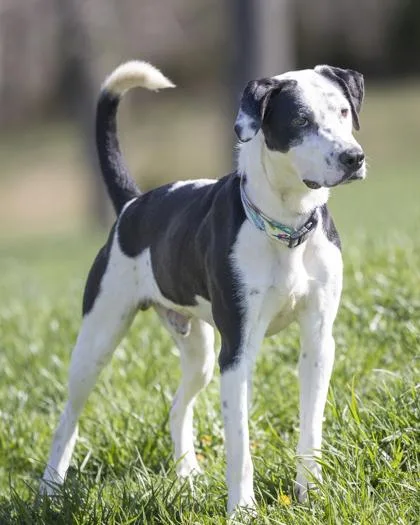 Freckles thumbnail 3