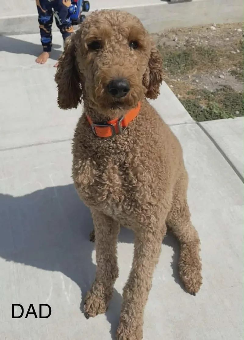 Winston Jb In Tx thumbnail 2