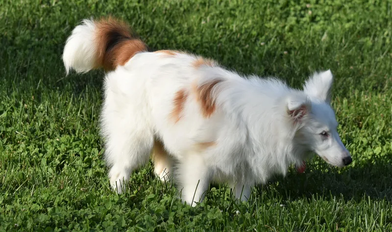 Blizzard thumbnail 3