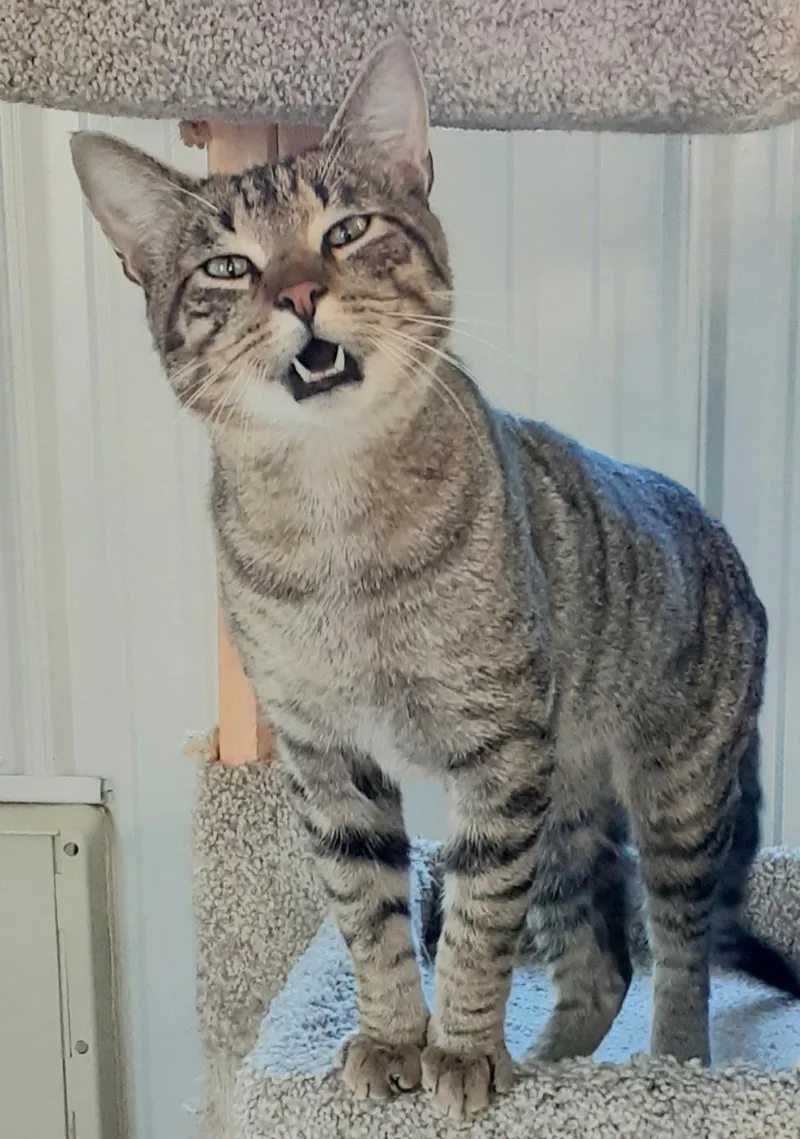 Fred Aka Mr. Social thumbnail 2