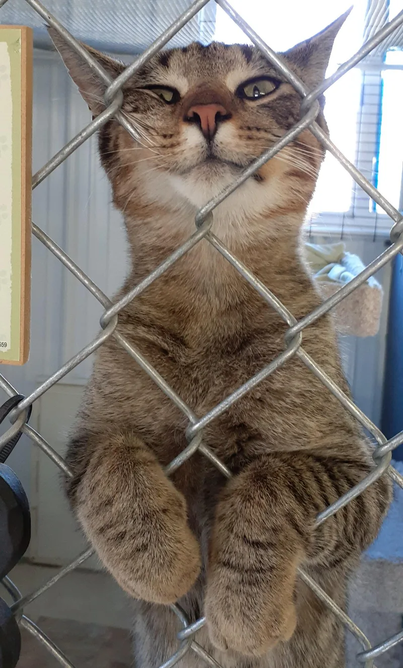 Fred Aka Mr. Social thumbnail 3