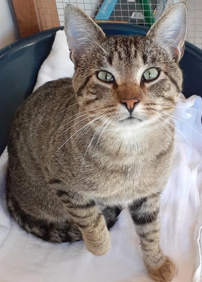 Fred Aka Mr. Social thumbnail 4