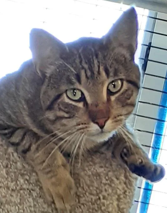 Fred Aka Mr. Social thumbnail 5