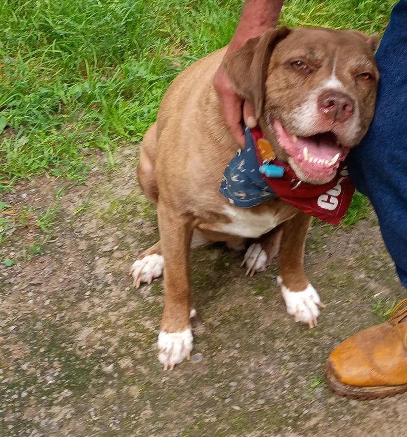 Coco
