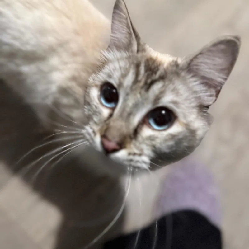 Sasha thumbnail 2