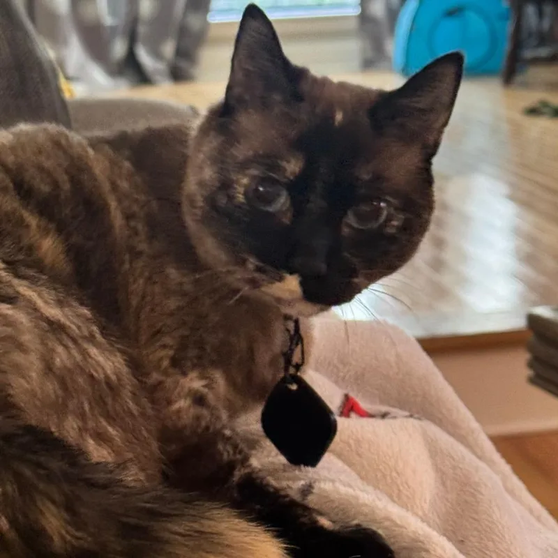 Maggie thumbnail 2