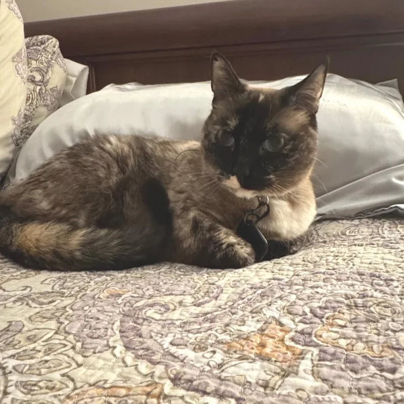 Maggie thumbnail 3