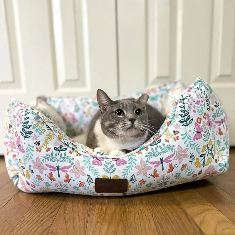 Chickpea thumbnail 3