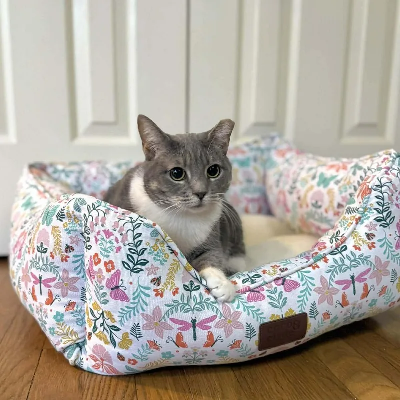 Chickpea thumbnail 5