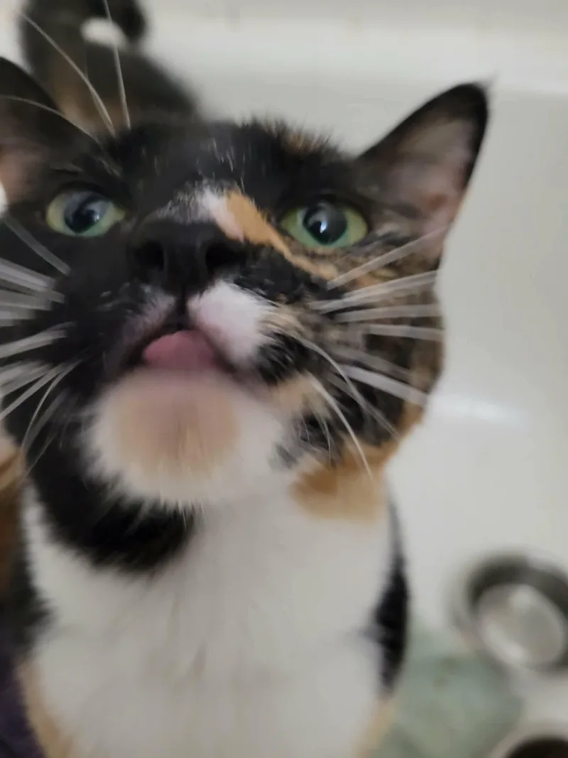 Ashley thumbnail 2