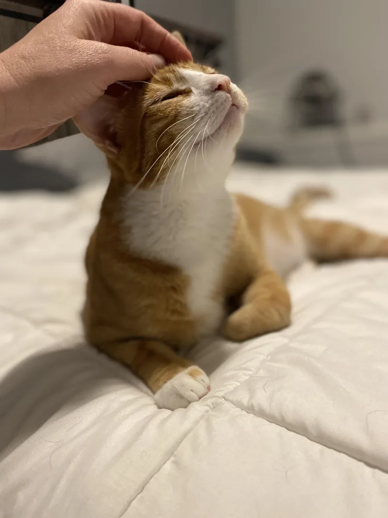 Franklin & Martha thumbnail 2