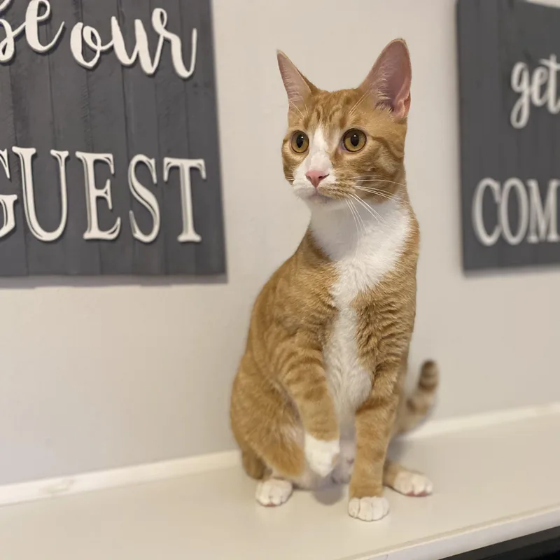 Franklin & Martha thumbnail 3