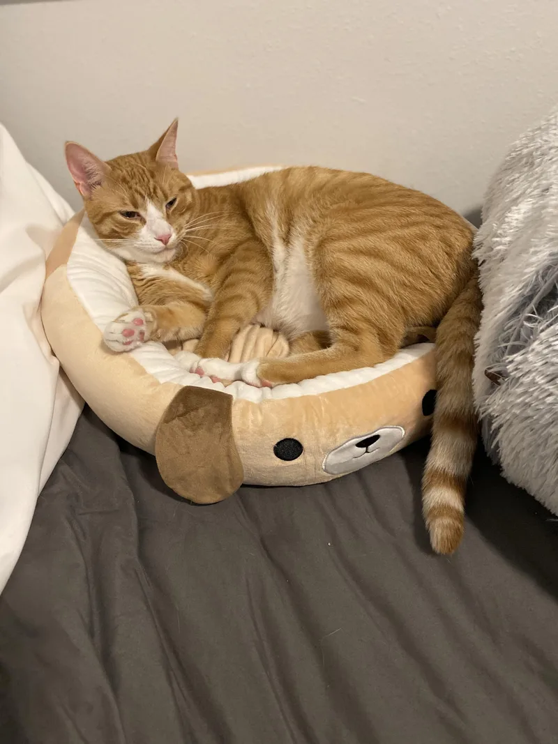 Franklin & Martha thumbnail 4