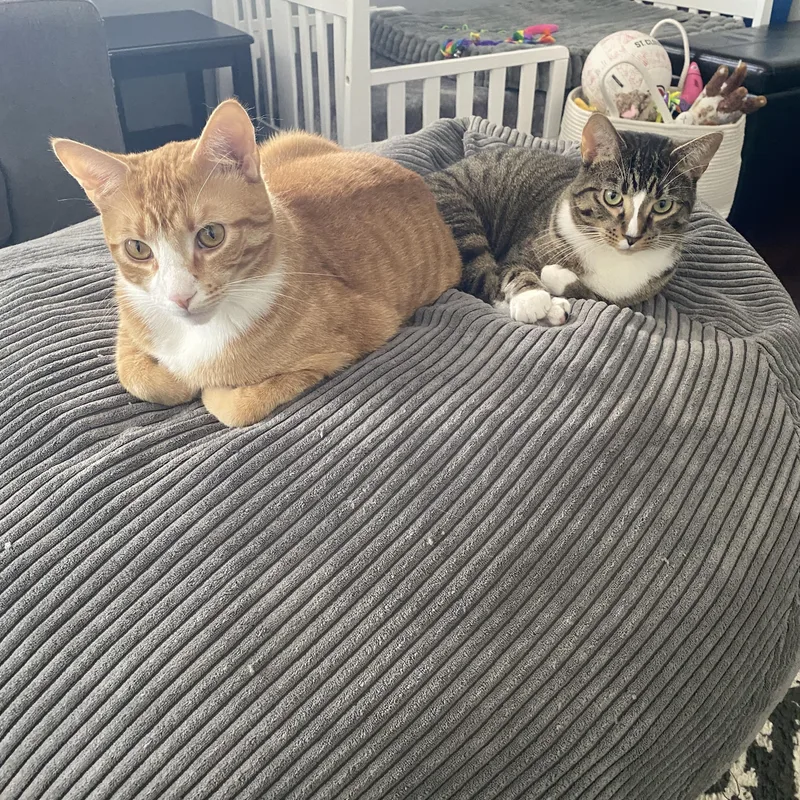 Franklin & Martha thumbnail 6