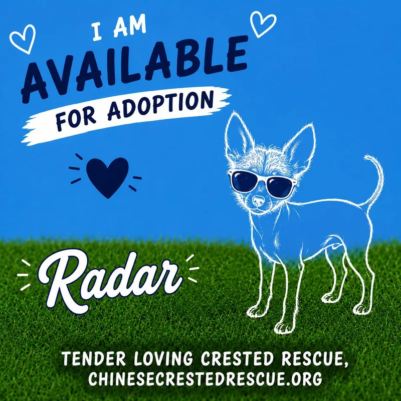 Radar thumbnail 3