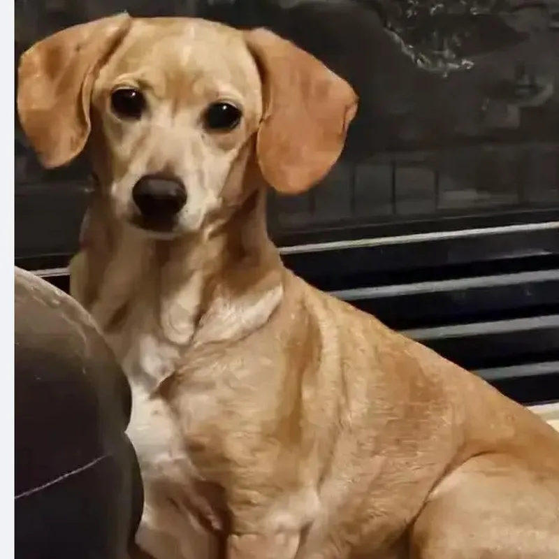 Oliver Jameson thumbnail 2