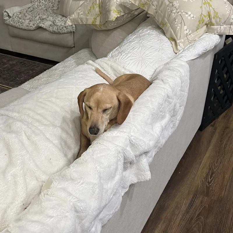 Oliver Jameson thumbnail 3