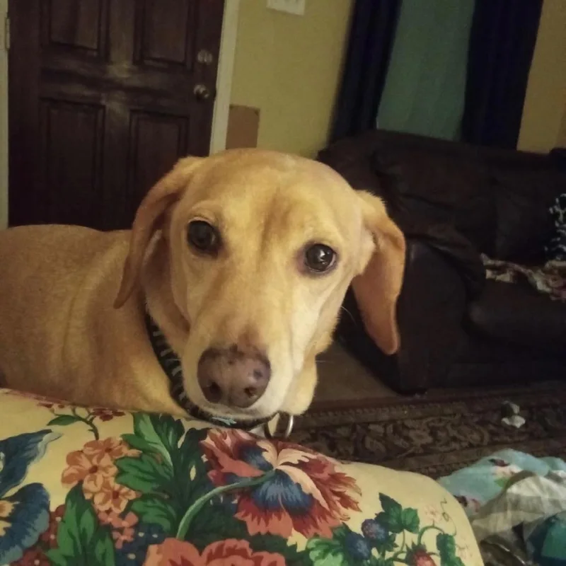 Oliver Jameson thumbnail 4