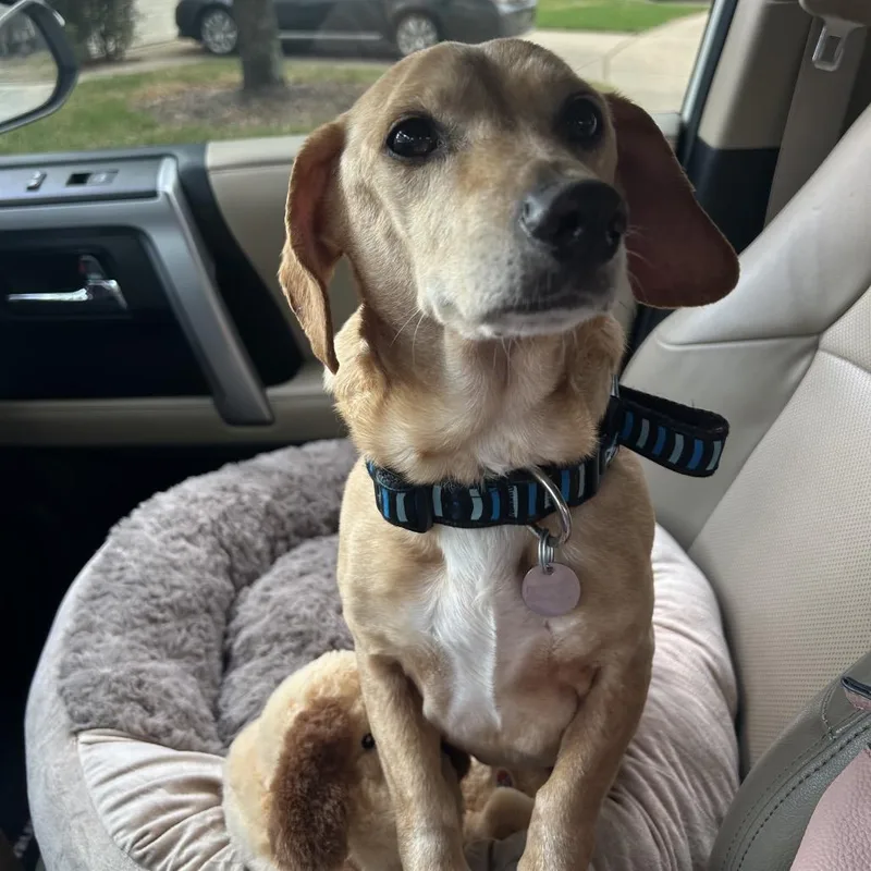 Oliver Jameson thumbnail 5