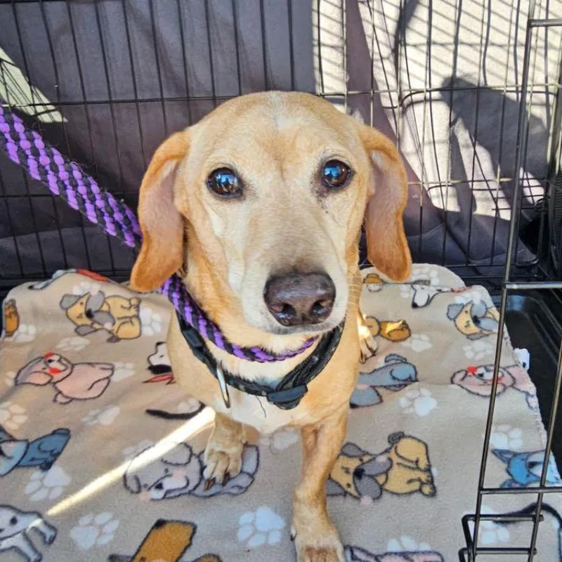 Oliver Jameson thumbnail 6