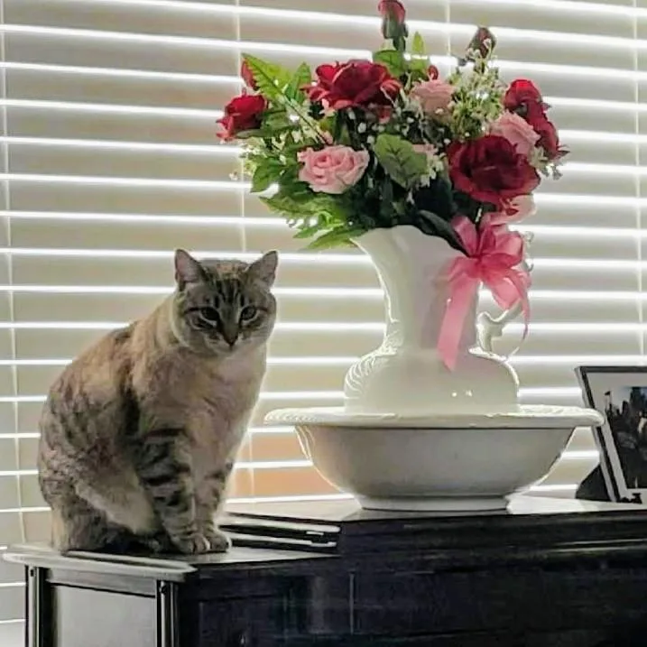 Minnie Pearl thumbnail 2