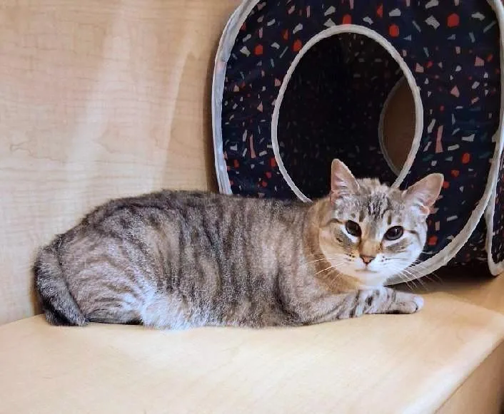 Minnie Pearl thumbnail 3