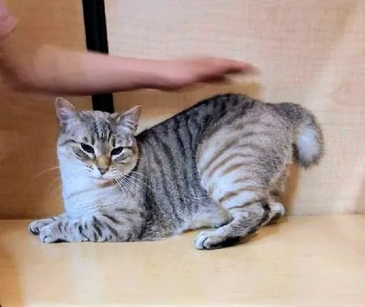 Minnie Pearl thumbnail 4