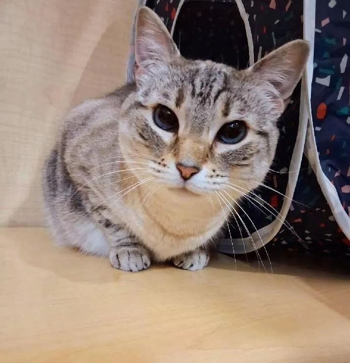 Minnie Pearl thumbnail 5