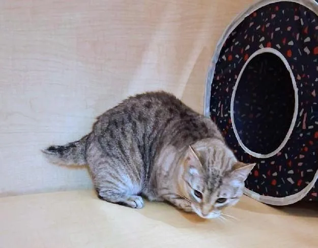 Minnie Pearl thumbnail 6