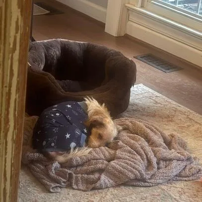 Murphy