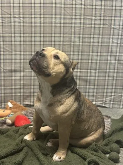 Hercules thumbnail 2