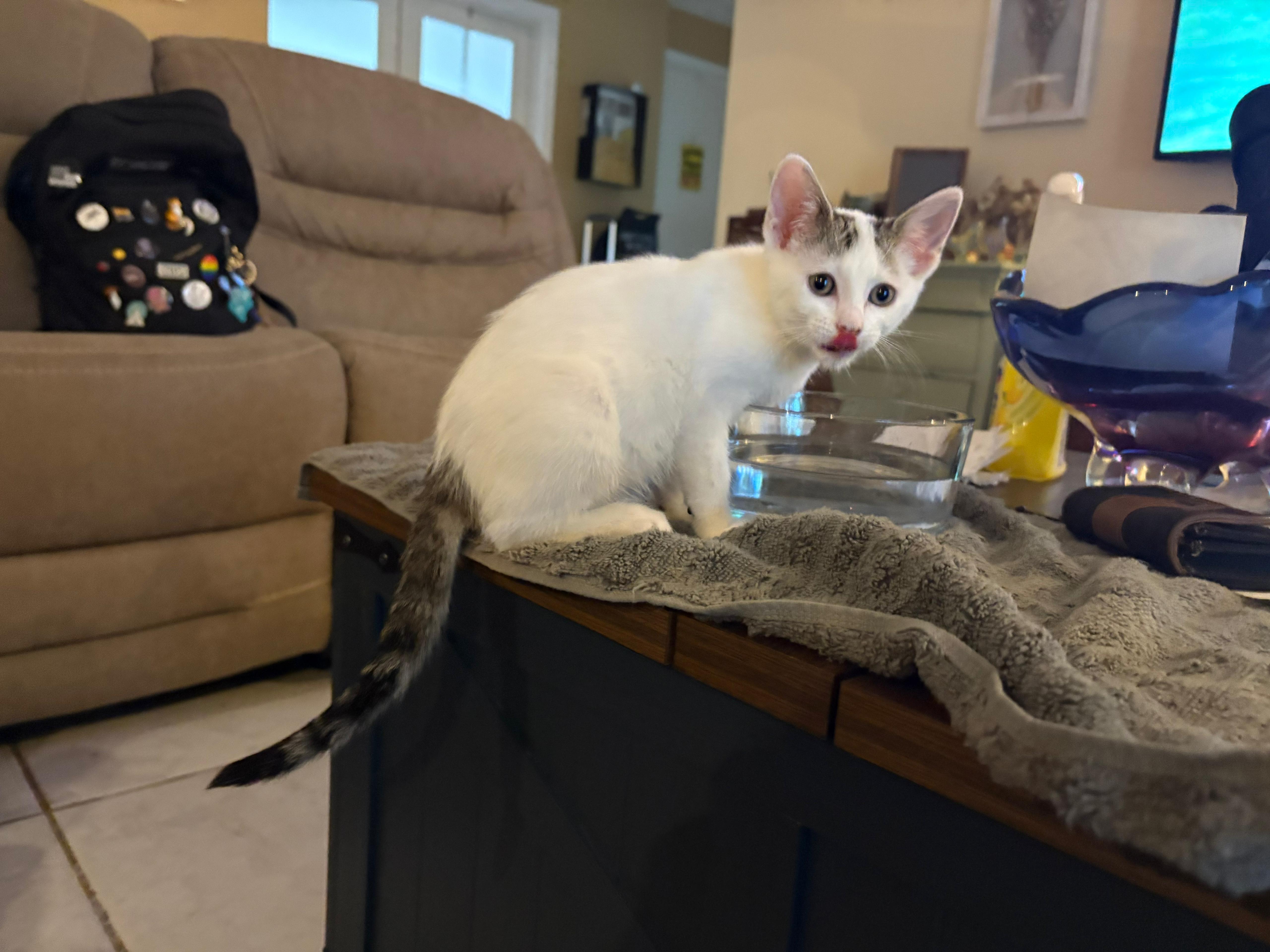 Snowie thumbnail 2