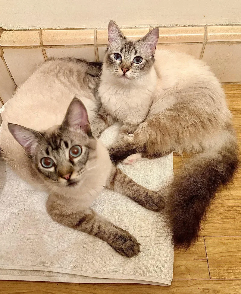 Poppie & Pip thumbnail 2