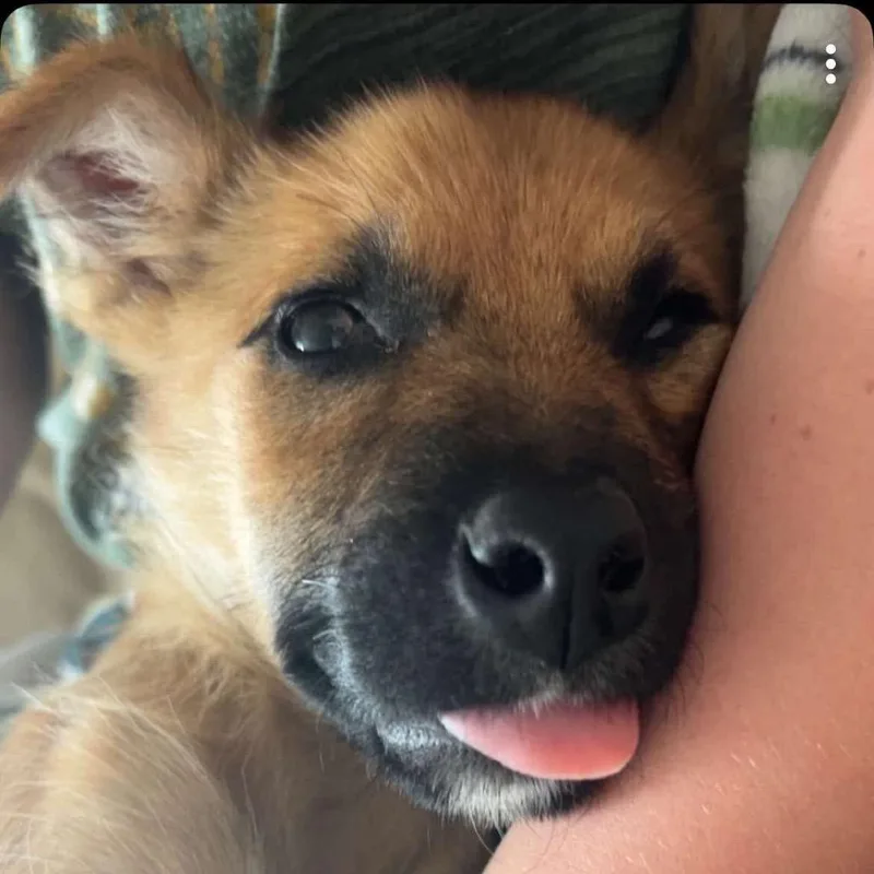 Toast thumbnail 6