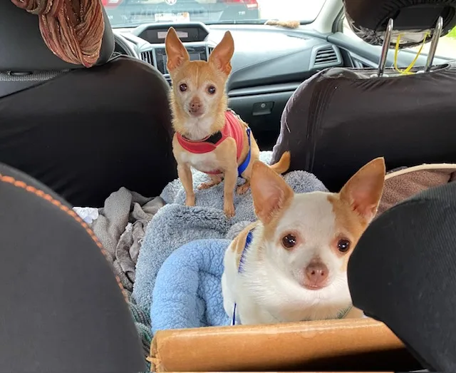 Nan & Shay thumbnail 2