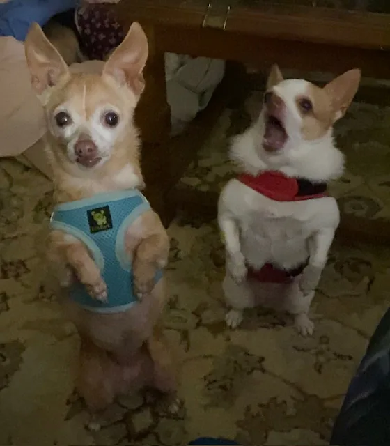 Nan & Shay thumbnail 3